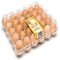 편리한 8 PC 0.7 밀리미터 PVC 플라스틱 계란 포장지 수송 계란 인큐베이터 트레이
