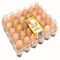 트레이에서 설정하는 9 PC 쌓아 올릴 수 있는 플라스틱 계란 홀더 152 밀리미터 케케묵은 인큐베이터 달걀