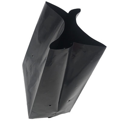 하얀 검은 플라스틱은 블랙홀과 가방 보육 학교 가방을 성장시킵니다