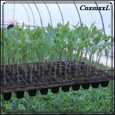 2mm 두꺼운 산림 나무용 200세포 플라스틱 심방 - 노화 저항성 및 내구성