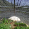 6m 넓은 온실 플라스틱 잡초 매트 30gsm-300gsm 농업 음영 직포