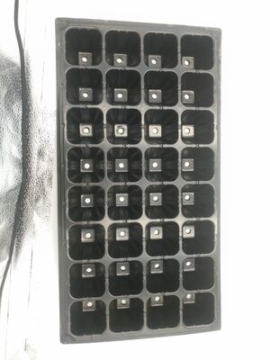 2mm 두꺼운 산림 나무용 32세포 플라스틱 심기 트레이 - 노화 저항성 및 내구성