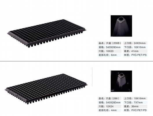 2mm 두께와 노화 방지 기능으로 내구성이 뛰어난 플라스틱 200구 모종 트레이 (식물 번식용)