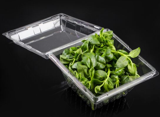 Customized Design Recyclable PET Plastic Blister Packaging with Heat Sealing for Fresh Produce