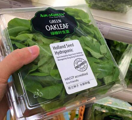 Customizable Recyclable Transparent Packaging Box with Heat Sealing for Vegetables and Fruits