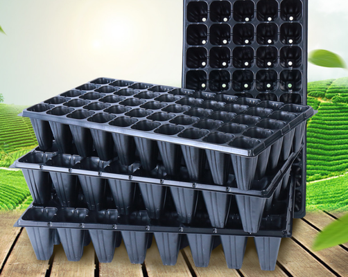 모종 트레이 씨앗 스타터 트레이
