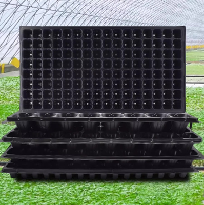greenhouse tray,seed plug tray,nursery plug tray,hydroponic seed tray,vegetable seed tray