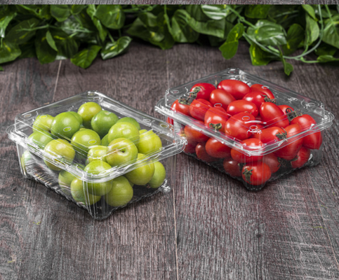 Single-use lamb roll packaging box - 1 kilogram box of lamb slices in plastic - premium wagyu roll transparent packaging box manufacturer - in stock now