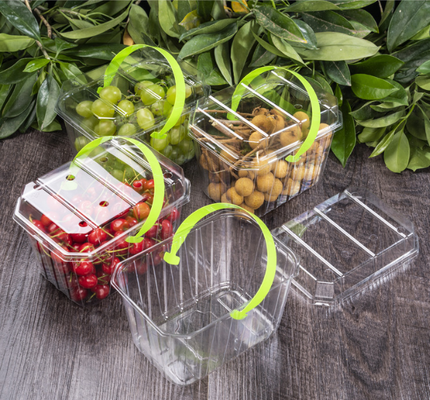 Fruit trays, meat packaging boxes, vegetable packaging boxes, seedling trays, fast food boxes, as well as PVC, PP, PET transparent boxes and printed boxes.